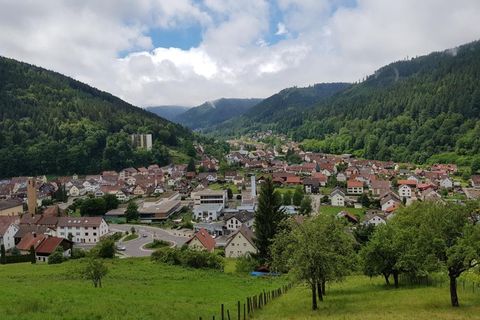 Blick auf Luftkurort Calmbach
