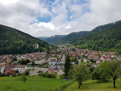 Blick auf Luftkurort Calmbach