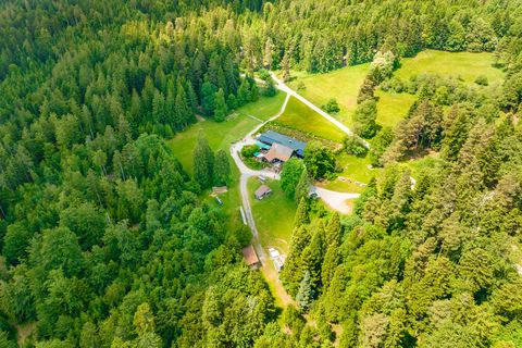 Waldgaststätte Grünhütte Vogelperspektive