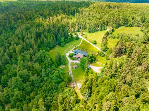 Waldgaststätte Grünhütte Vogelperspektive
