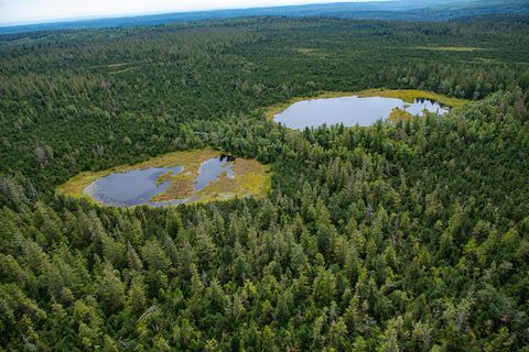 Wildsee Kaltenbronn