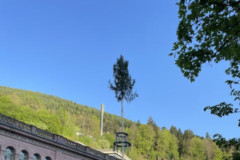 Maibaumaufstellung 2025 vorm Palais Thermal