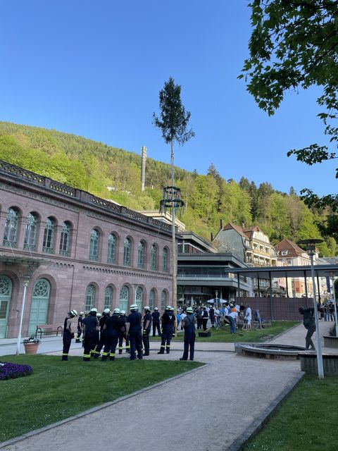 Maibaumaufstellung 2025 vorm Palais Thermal