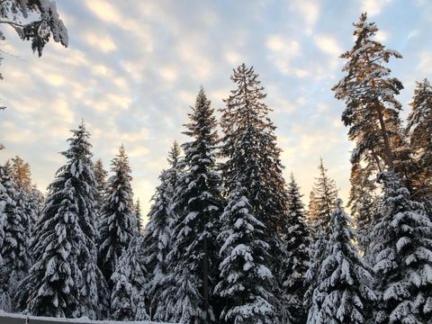 Schneeschuhtouren Höhenorte
