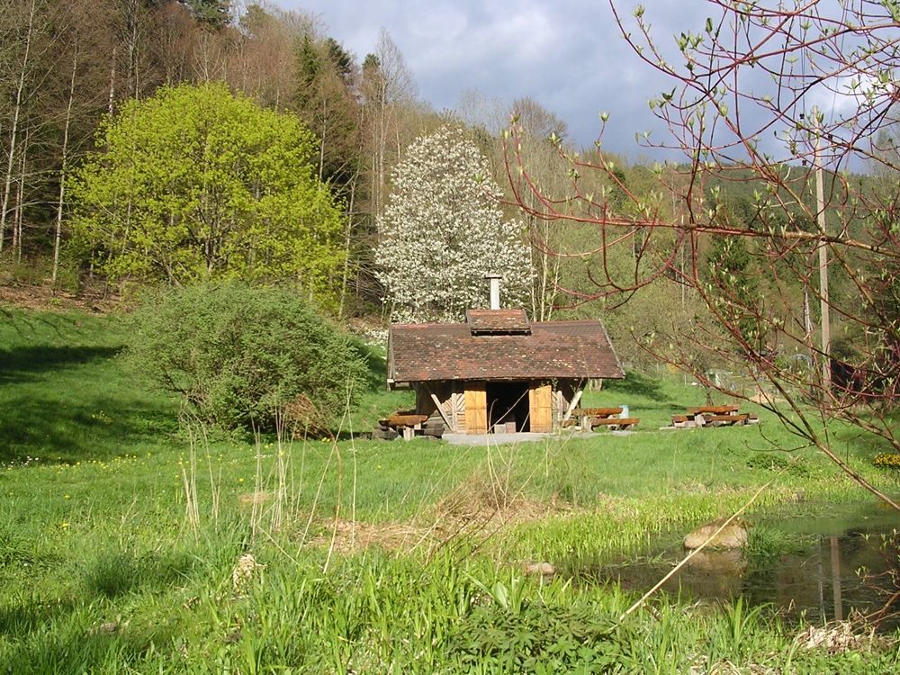 Grillplatz im Förteltal (Höfen an der Enz)