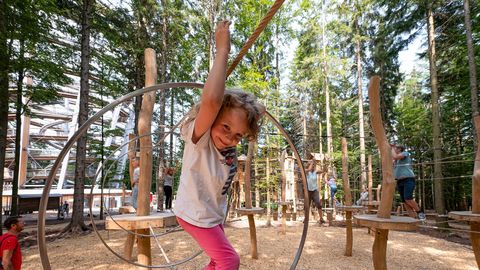 Adventure Forest