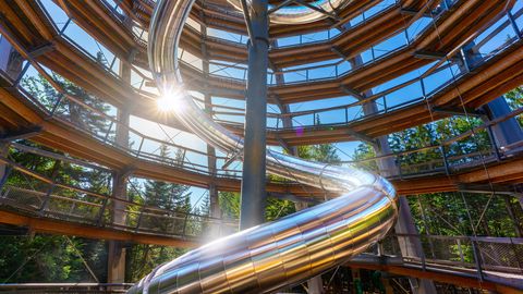 Slide at the treetop walk