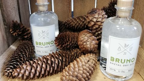 Bruno Gin