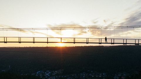 Suspension Bridge Wildline