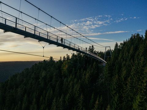 Hängebürcke WILDLINE