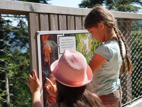Spielstationen auf dem Baumwipfelpfad