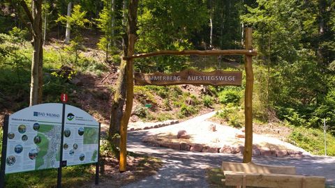 Aufstiegswege
