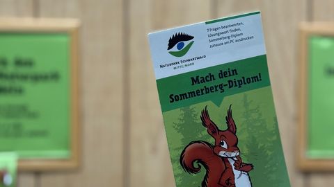 Sommerberg-Diplom Bad Wildbad