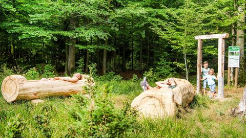 Overnight Experience in Bad Wildbad