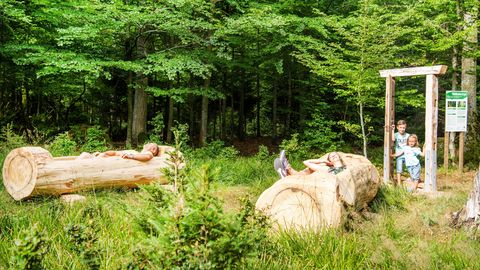 Waldbadezimmer Sommerberg