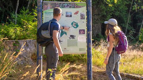 Wandern_Tourenvorschläge