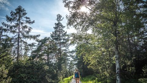 Wandern