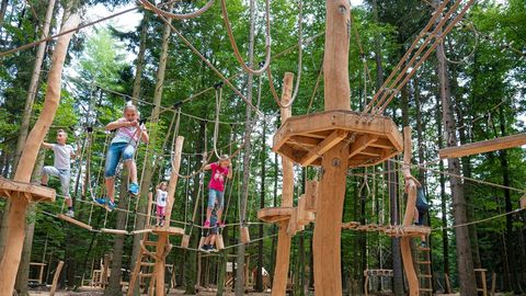 Sommerberg Adventure Forest