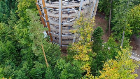 Treetop walk black forest
