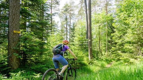 Mountainbike-Führungen