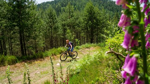 MTB-Tour