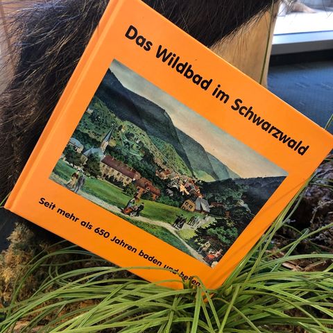 Das Wildbad im Schwarzwald
