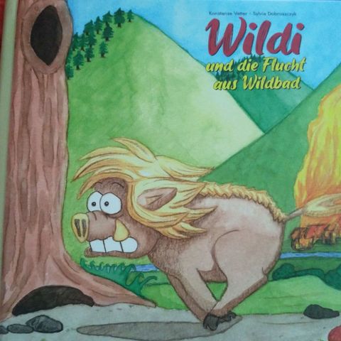 Buchcover Wildi und die Flucht aus Wildbad