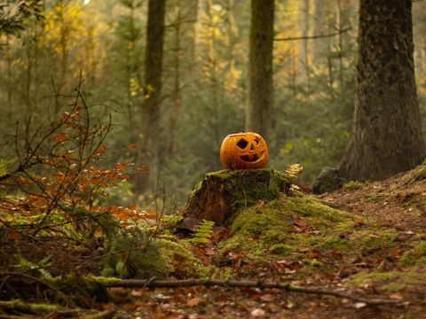 Halloween mal anders